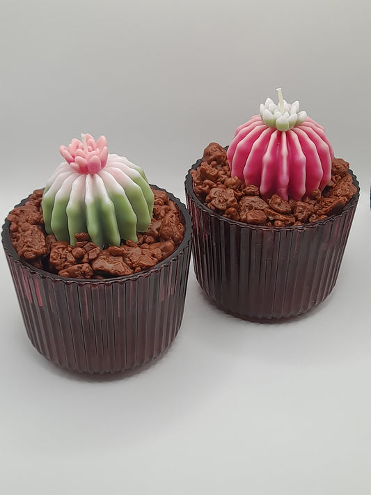 Kaktus Kerze grün im Glas