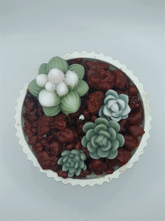 Kaktus Kerze schlicht - In handgegossener Schale