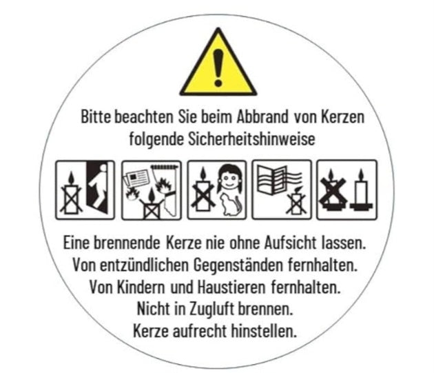 Kakteen Schale schlicht