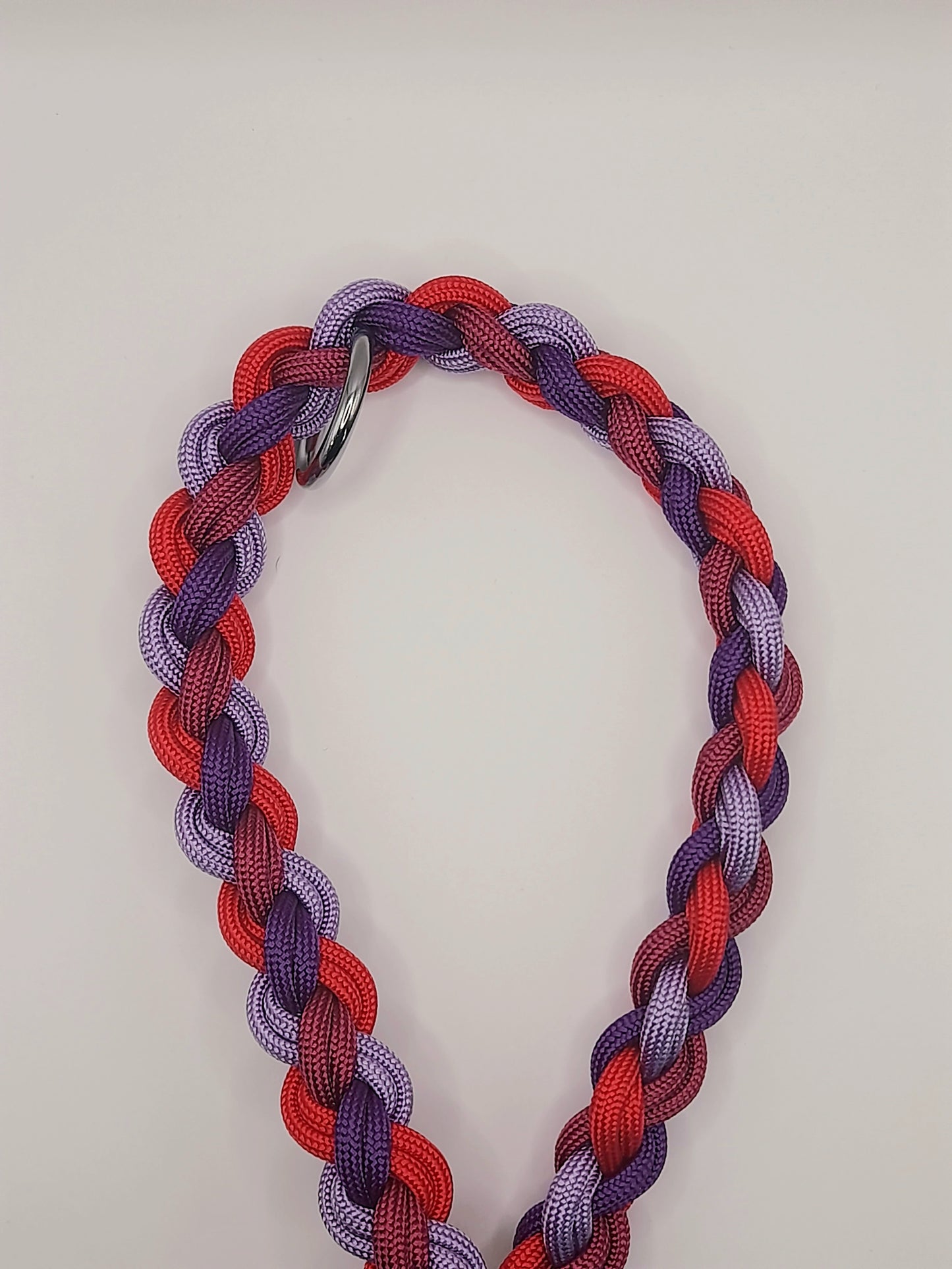 Hundeleine "Berry Blaze"